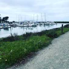 A cloudy day 🏃‍♀️ by the bay ... #sixfeetapart #socialdistance day 7 in California.
